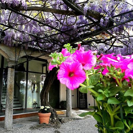 Antico Glicine B&B Maslianico Kültér fotó