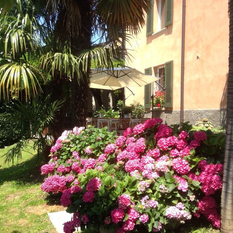 Antico Glicine B&B Maslianico Kültér fotó