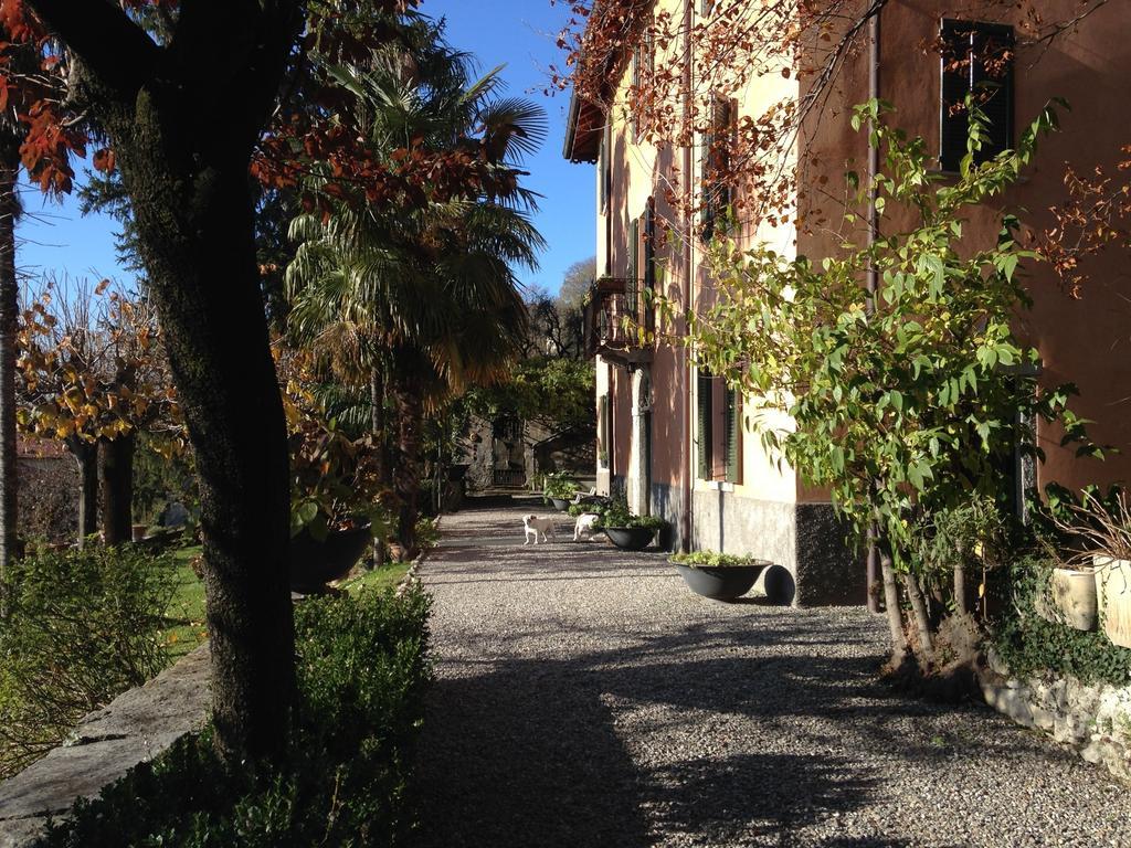 Antico Glicine B&B Maslianico Kültér fotó