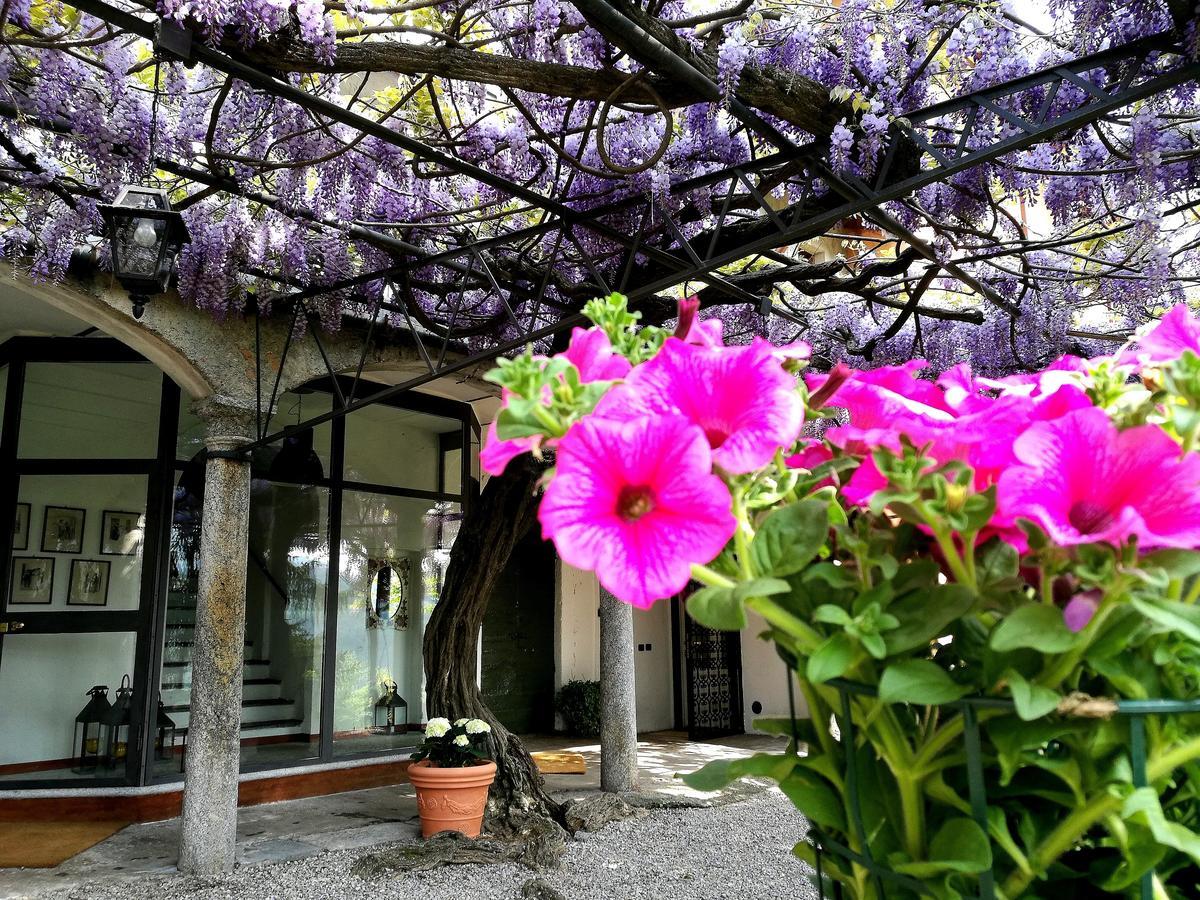Antico Glicine B&B Maslianico Kültér fotó